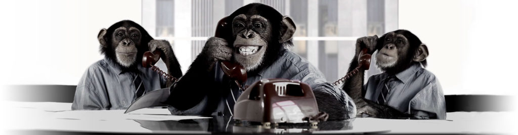 Monkeys calling on the phone