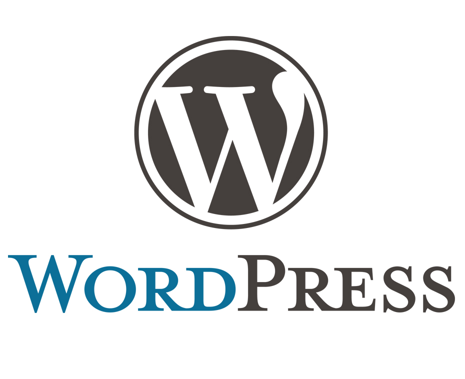 WordPress and Custom CMS: Different Tools for Different Needs