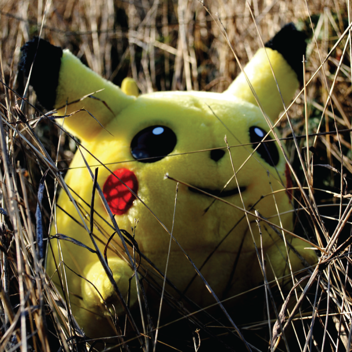 Pokémon GO – Why It’s Taking The World By Storm
