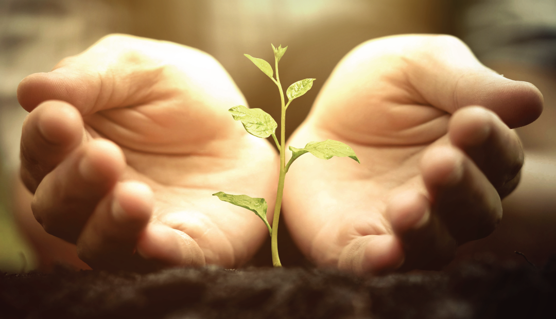 Social Media Marketing : Social Seeding